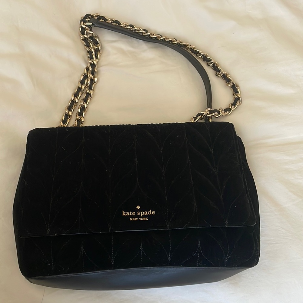 Stunning Velvet Kate Spade